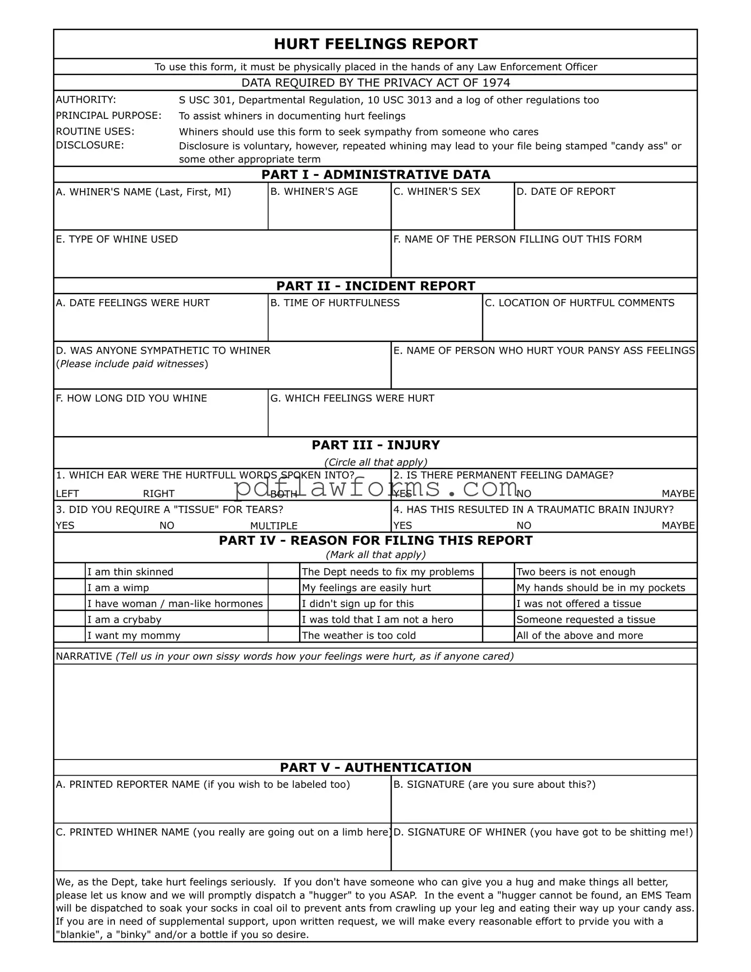 Fill Your Hurt Feelings Report Template