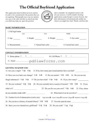Fill Your Boyfriend application form Template