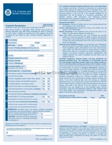Fill Your CBP 6059B Template