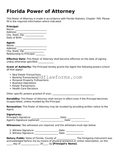 Power of Attorney Form for the State of Florida