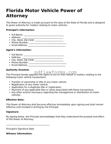 Motor Vehicle Power of Attorney Form for the State of Florida