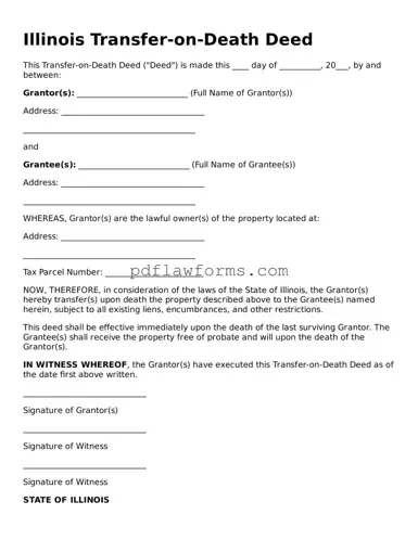 Transfer-on-Death Deed Form for the State of Illinois